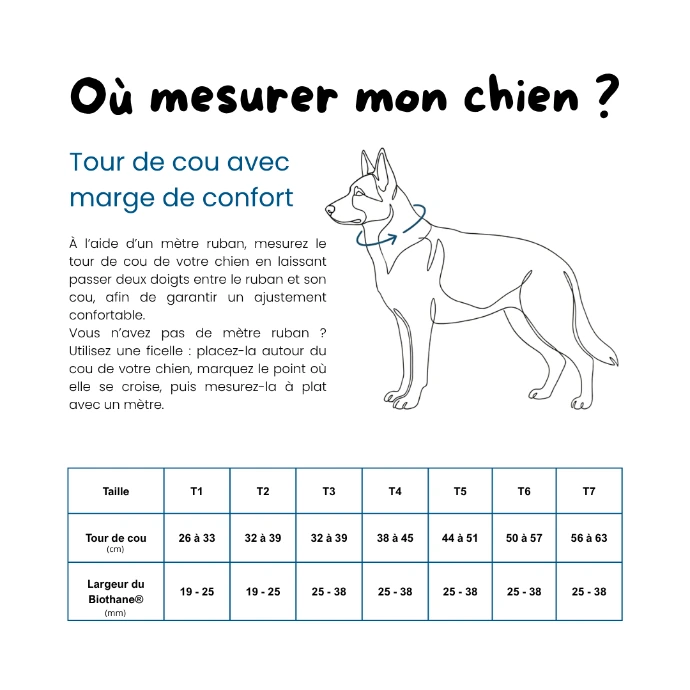 Guide des tailles