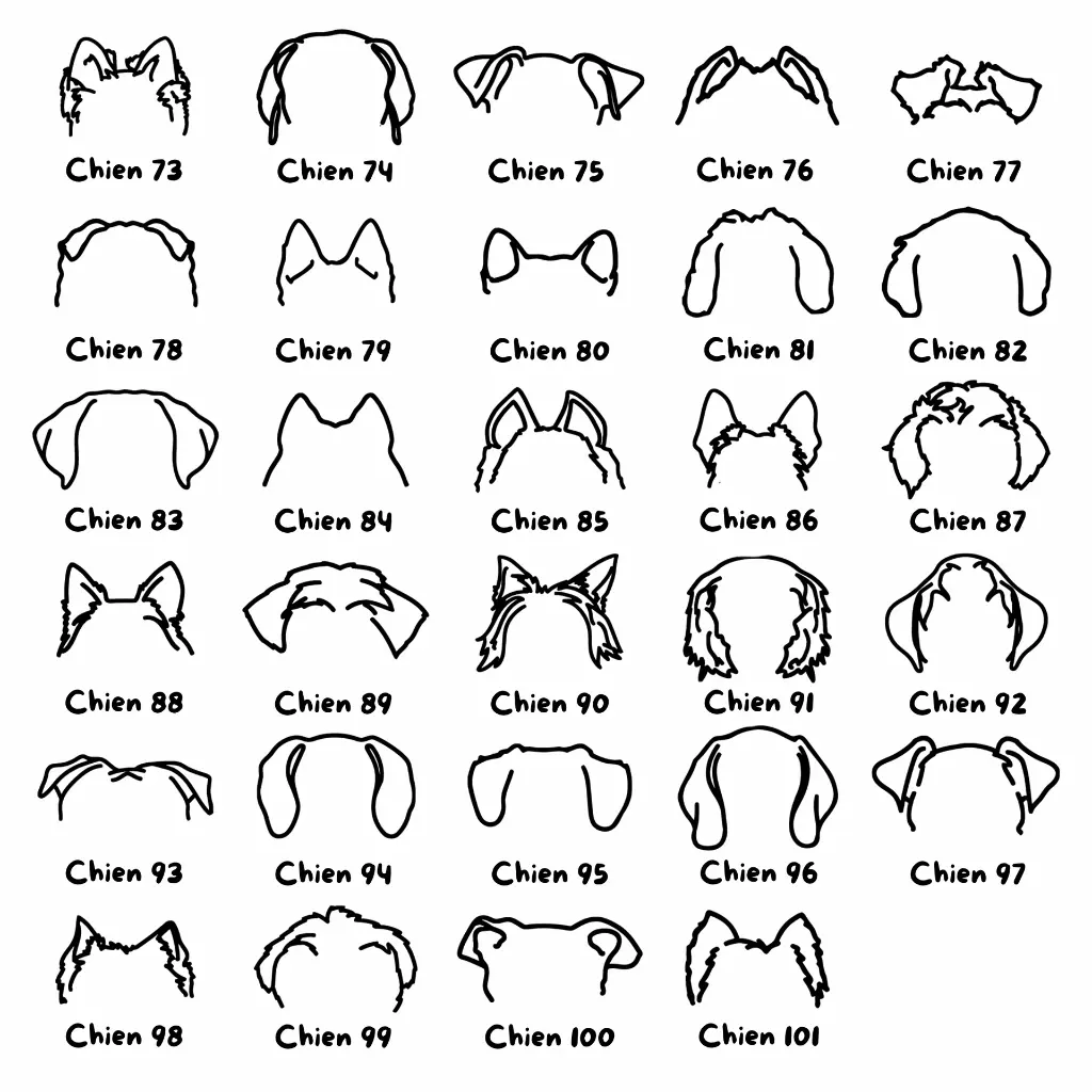Oreilles 3.webp