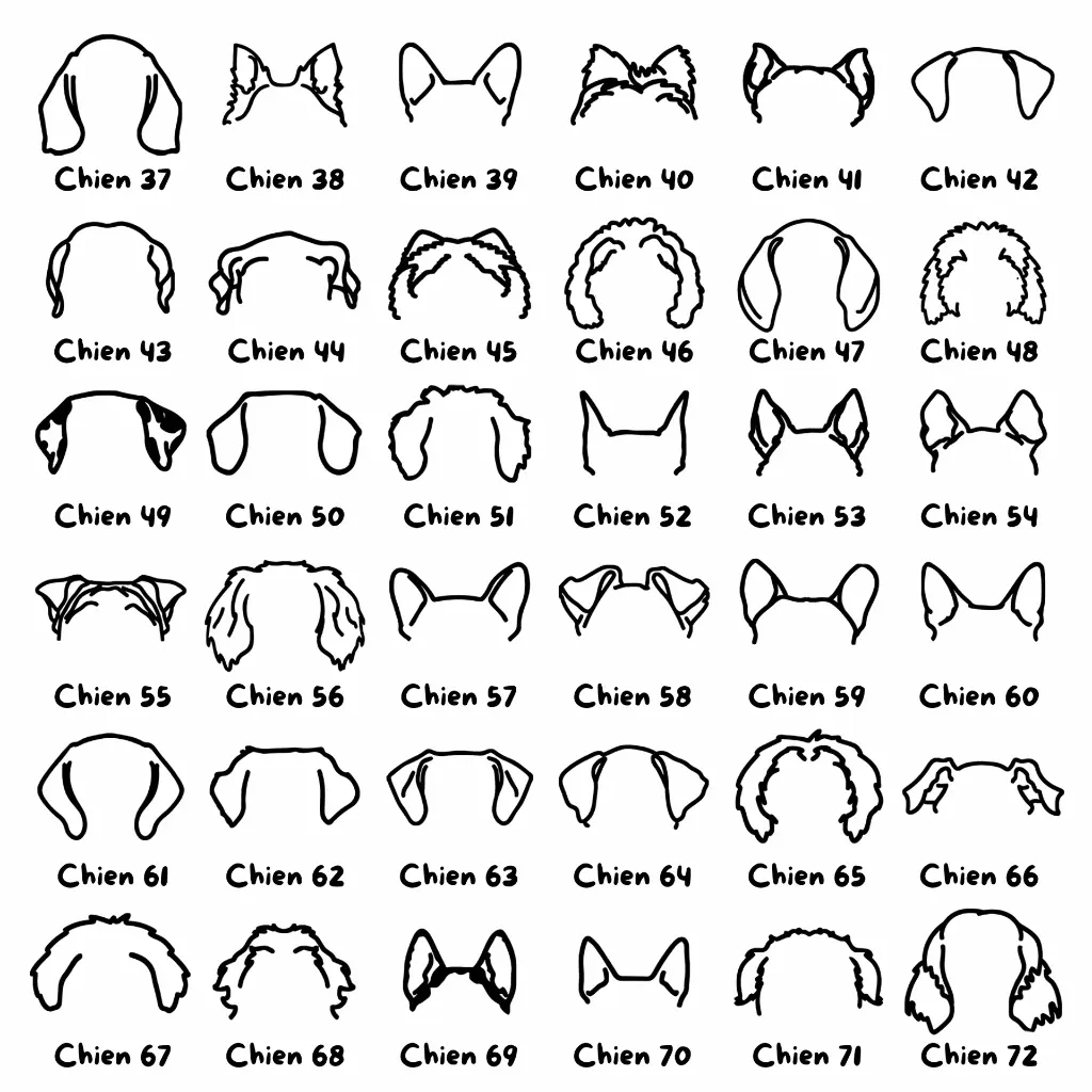 Oreilles 2.webp