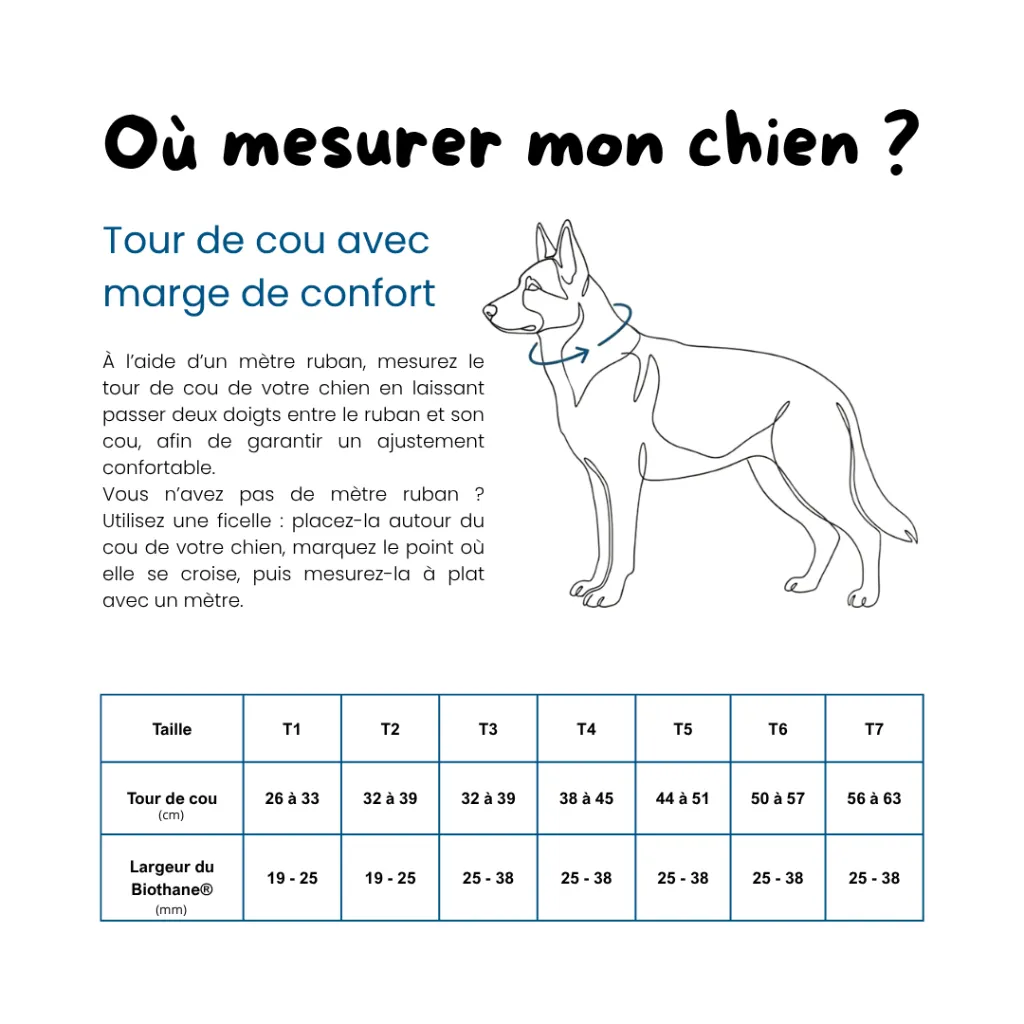 Guide taille collier.webp