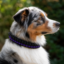 Collier en corde - Violet REEL.png