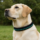 Collier en corde - Vert glacial REEL.png