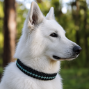 Collier en corde - Sauge REEL.png
