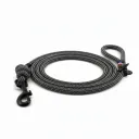 Laisse -  Terre d'Ombre