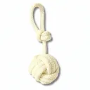 Pomme de Touline - Crème Vanille