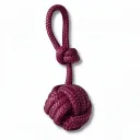 Pomme de Touline - Prune Royal